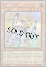 ☆アジア☆[新]レスキューキャット(右向)【シークレット】{アジアQCAC-JP006}《モンスター》