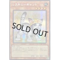 ☆アジア☆[新]レスキューキャット(右向)【シークレット】{アジアQCAC-JP006}《モンスター》