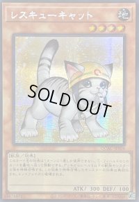 ☆アジア☆[新]レスキューキャット(右向)【シークレット】{アジアQCAC-JP006}《モンスター》