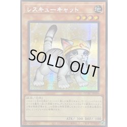 画像1: ☆アジア☆[新]レスキューキャット(右向)【シークレット】{アジアQCAC-JP006}《モンスター》