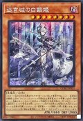 〔状態A-〕☆アジア☆迷宮城の白銀姫(1人)【シークレット】{アジアQCAC-JP011}《モンスター》