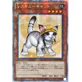 ☆アジア☆[新]レスキューキャット(右向)【クォーターセンチュリーシークレット】{アジアQCAC-JP006}《モンスター》