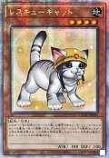 ☆アジア☆[新]レスキューキャット(右向)【クォーターセンチュリーシークレット】{アジアQCAC-JP006}《モンスター》