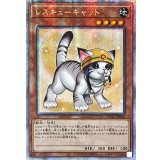 ☆アジア☆[新]レスキューキャット(右向)【クォーターセンチュリーシークレット】{アジアQCAC-JP006}《モンスター》
