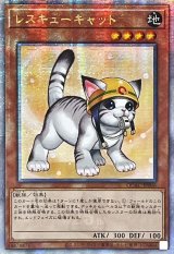 ☆アジア☆[新]レスキューキャット(右向)【クォーターセンチュリーシークレット】{アジアQCAC-JP006}《モンスター》