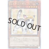 ☆アジア☆[新]レスキューキャット(右向)【クォーターセンチュリーシークレット】{アジアQCAC-JP006}《モンスター》
