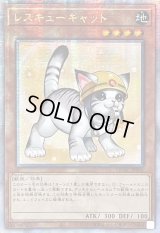 ☆アジア☆[新]レスキューキャット(右向)【クォーターセンチュリーシークレット】{アジアQCAC-JP006}《モンスター》