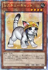 ☆アジア☆[新]レスキューキャット(右向)【クォーターセンチュリーシークレット】{アジアQCAC-JP006}《モンスター》