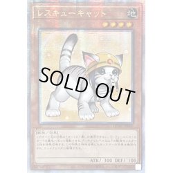画像1: ☆アジア☆[新]レスキューキャット(右向)【クォーターセンチュリーシークレット】{アジアQCAC-JP006}《モンスター》