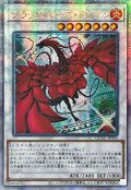 〔状態A-〕☆アジア☆[新]ブラックローズドラゴン(左向/白緑背景)【クォーターセンチュリーシークレット】{アジアQCAC-JP003}《シンクロ》