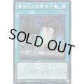☆アジア☆魔神王の禁断契約書【シークレット】{アジアQCCP-JP089}《魔法》