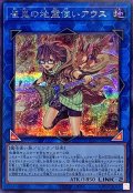〔状態A-〕崔嵬の地霊使いアウス【シークレット】{QCCP-JP189}《リンク》