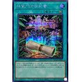 地獄門の契約書【シークレット】{QCCP-JP087}《魔法》