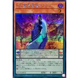 DD魔導賢者ケプラー【シークレット】{QCCP-JP072}《モンスター》
