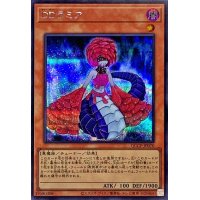 DDラミア【シークレット】{QCCP-JP070}《モンスター》