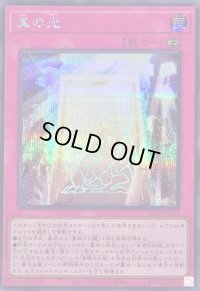 〔状態B〕真の光【シークレット】{QCCP-JP014}《罠》