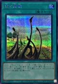 〔状態A-〕竜の霊廟【シークレット】{QCCP-JP194}《魔法》