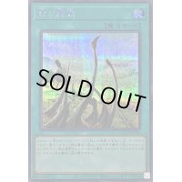 〔状態B〕竜の霊廟【シークレット】{QCCP-JP194}《魔法》
