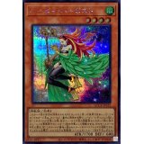 ハーピィハーピスト【シークレット】{QCCP-JP122}《モンスター》