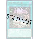 〔状態B〕地獄門の契約書【ウルトラ】{QCCP-JP087}《魔法》