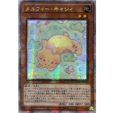 〔状態A-〕☆アジア☆メルフィーラッシィ【クォーターセンチュリーシークレット】{アジアQCCU-JP175}《モンスター》