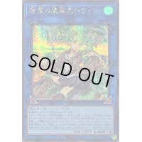〔状態B〕蒼翠の風霊使いウィン【シークレット】{QCCU-JP188}《リンク》