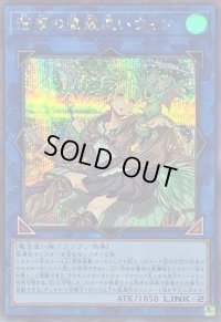 〔状態B〕蒼翠の風霊使いウィン【シークレット】{QCCU-JP188}《リンク》