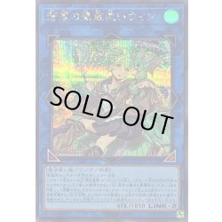 画像1: 〔状態B〕蒼翠の風霊使いウィン【シークレット】{QCCU-JP188}《リンク》