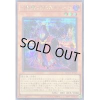 〔状態A-〕幻影騎士団ダスティローブ【シークレット】{QCCU-JP145}《モンスター》