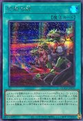 同胞の絆【シークレット】{QCCU-JP197}《魔法》