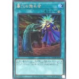 墓穴の指名者【シークレット】{QCDB-JP052}《魔法》