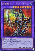 超魔導剣士ブラックパラディン【シークレット】{QCLP-JP021}《融合》
