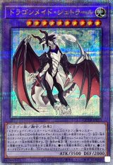 ドラゴンメイドシュトラール【クォーターセンチュリーシークレット】{QCTB-JP013}《融合》