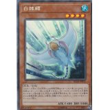 〔状態B〕白棘グレイ/ホワイトスティングレイ【コレクターズ】{RC03-JP011}《モンスター》