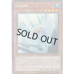 画像1: 白棘グレイ/ホワイトスティングレイ【コレクターズ】{RC03-JP011}《モンスター》