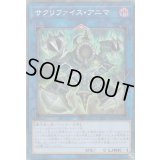 〔状態B〕サクリファイスアニマ【コレクターズ】{RC03-JP029}《リンク》