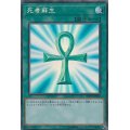 〔状態A-〕死者蘇生【コレクターズ】{RC03-JP033}《魔法》