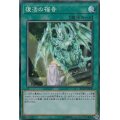 〔状態B〕復活の福音【コレクターズ】{RC03-JP038}《魔法》