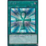 〔状態A-〕死者蘇生【シークレット】{RC03-JP033}《魔法》