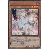 〔状態A-〕(新)灰流うらら【シークレット】{RC03-JP010}《モンスター》