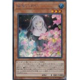 〔状態A-〕(新)儚無みずき【シークレット】{RC03-JP018}《モンスター》