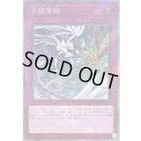 〔状態B〕天龍雪獄【エクストラシークレット】{RC04-JP079}《罠》