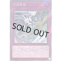 〔状態B〕天龍雪獄【エクストラシークレット】{RC04-JP079}《罠》