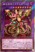 〔状態A-〕捕食植物ドラゴスタペリア【エクストラシークレット】{RC04-JP028}《融合》