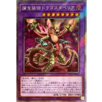 〔状態A-〕捕食植物ドラゴスタペリア【エクストラシークレット】{RC04-JP028}《融合》