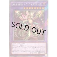 〔状態B〕捕食植物ドラゴスタペリア【エクストラシークレット】{RC04-JP028}《融合》