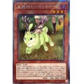 〔状態A-〕未界域のジャッカロープ【エクストラシークレット】{RC04-JP014}《モンスター》
