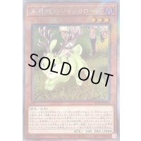 〔状態B〕未界域のジャッカロープ【エクストラシークレット】{RC04-JP014}《モンスター》