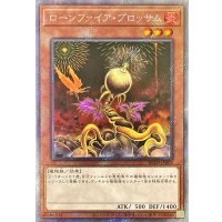 ローンファイアブロッサム【エクストラシークレット】{RC04-JP002}《モンスター》