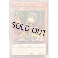〔状態A-〕ローンファイアブロッサム【エクストラシークレット】{RC04-JP002}《モンスター》